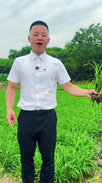 清泉镇五桂村