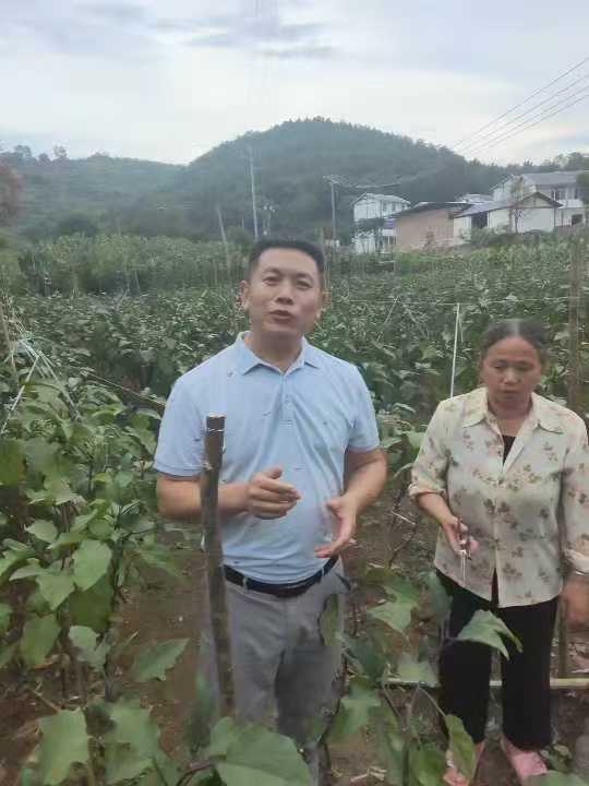 百胜镇桂花村
