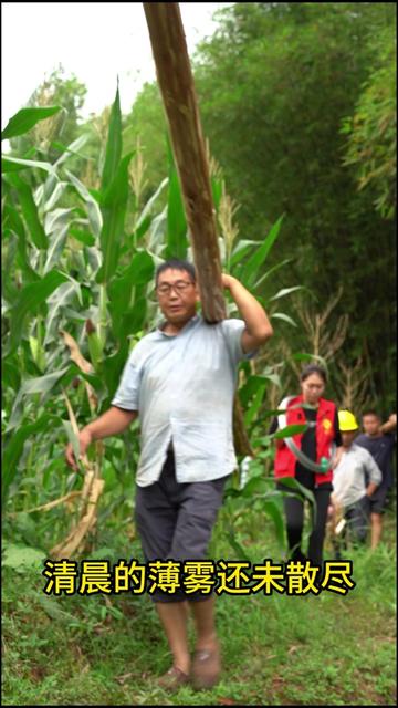 天心村