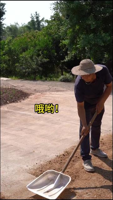 天心村