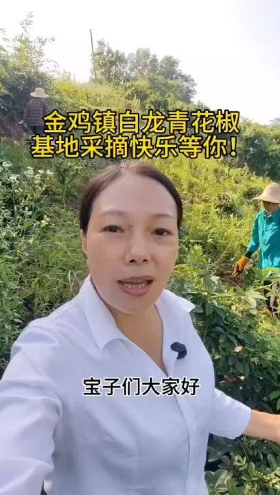 金鸡镇活龙村