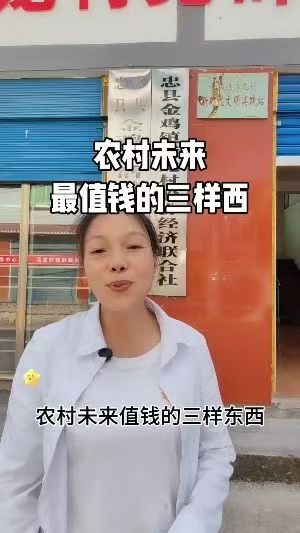 金鸡镇活龙村