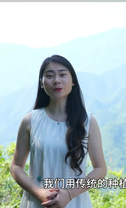 龙泉黄连村