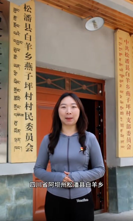 燕子坪村
