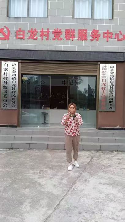 白龙村