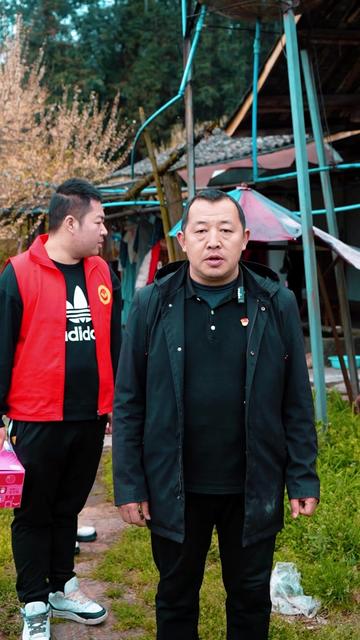 青衣街道依凤村