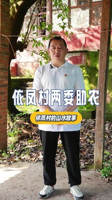 青衣街道依凤村