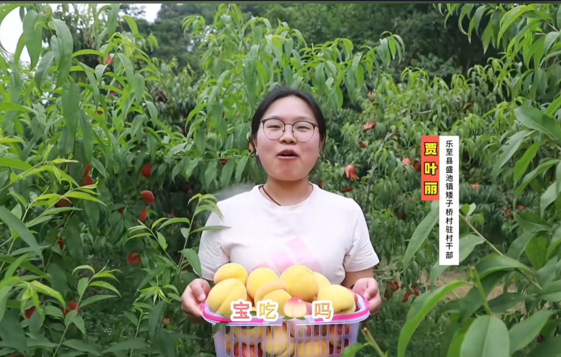 矮子桥村驻村干部