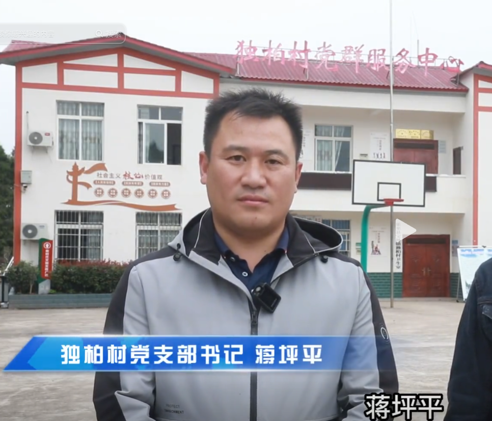 独柏村党支部书记