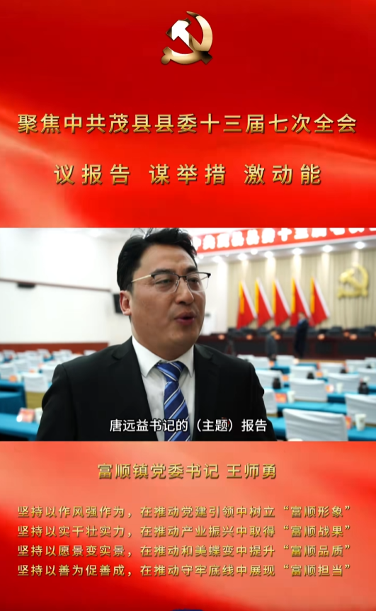 富顺镇党委书记