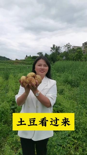 白云镇花柱村