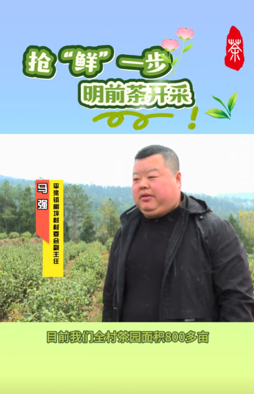 巴州区相坪村
