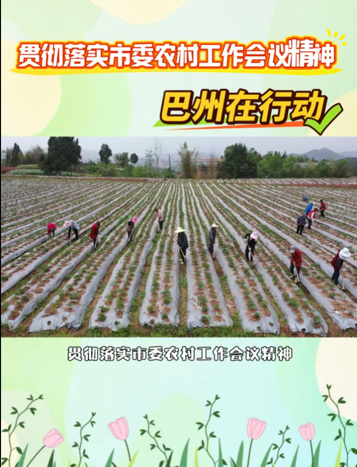 清江镇