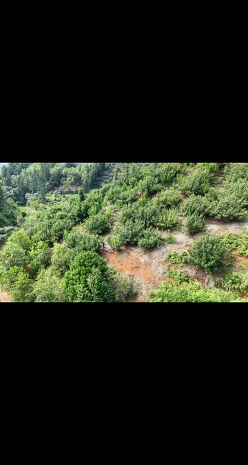 白马湖街道永和村