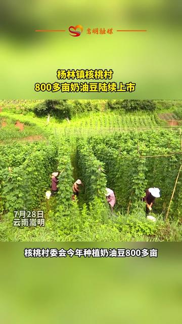 嵩明县