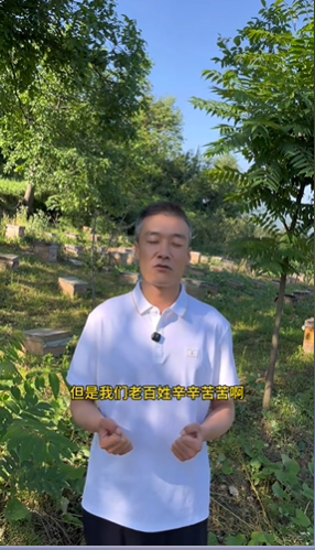 朱山村