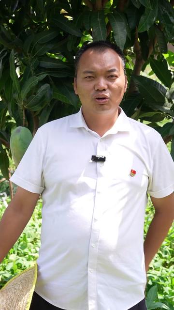 龙洞村