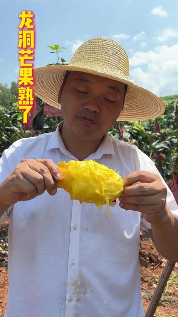 龙洞村