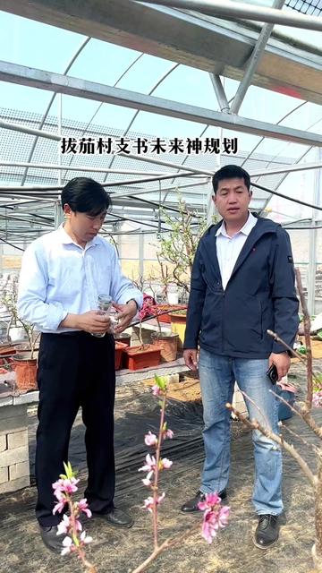 唐县拔茄村