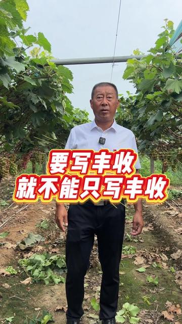 开张镇高淮村