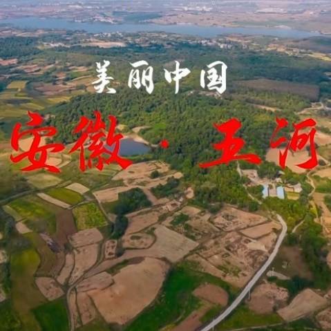 五河县招商局
