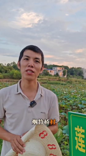 烟竹桥树
