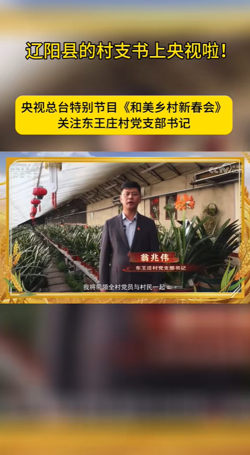 东王庄村