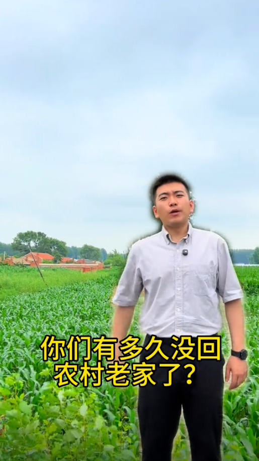 王铁村