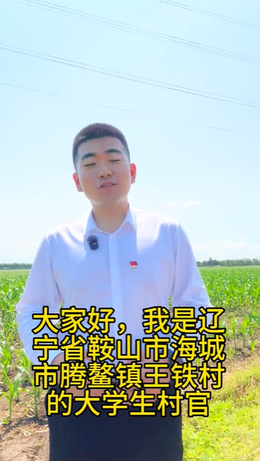 王铁村