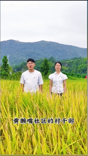 黄獭嘴社区
