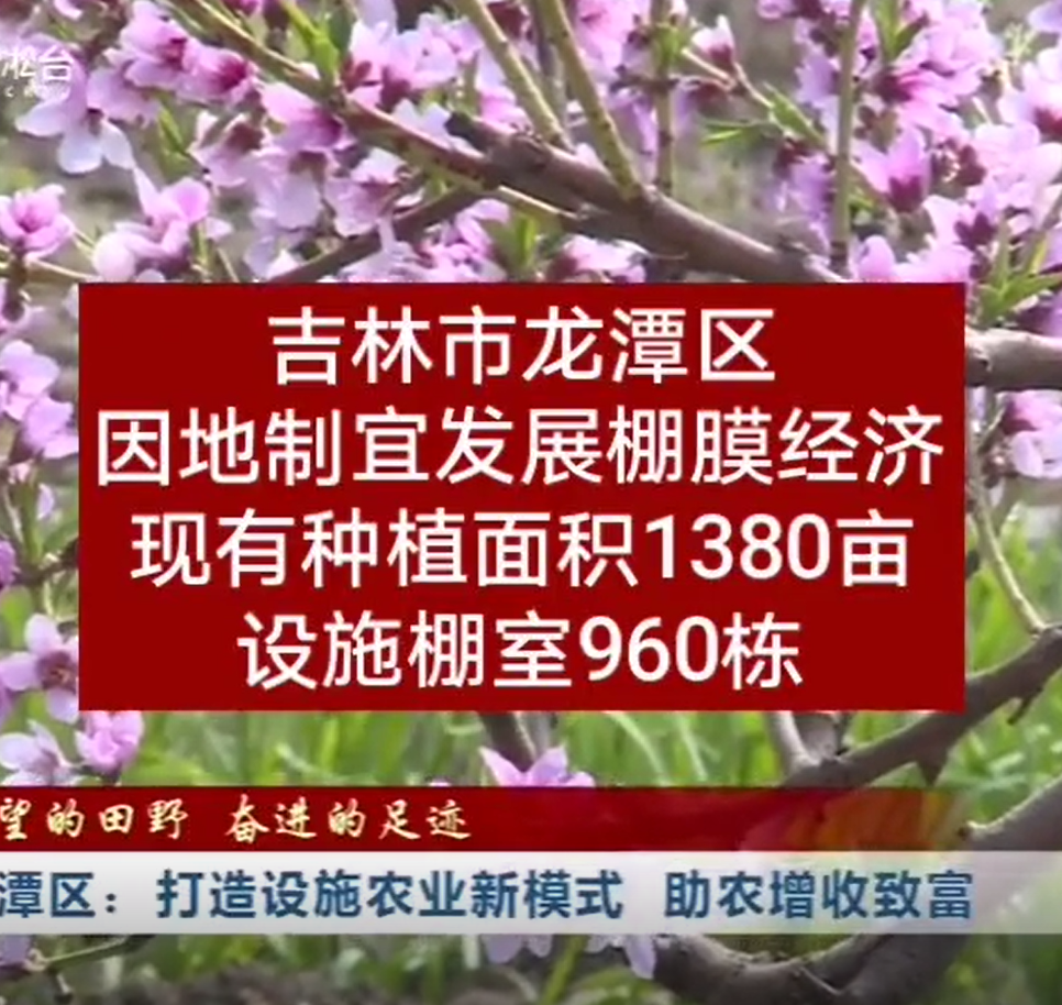 龙潭区