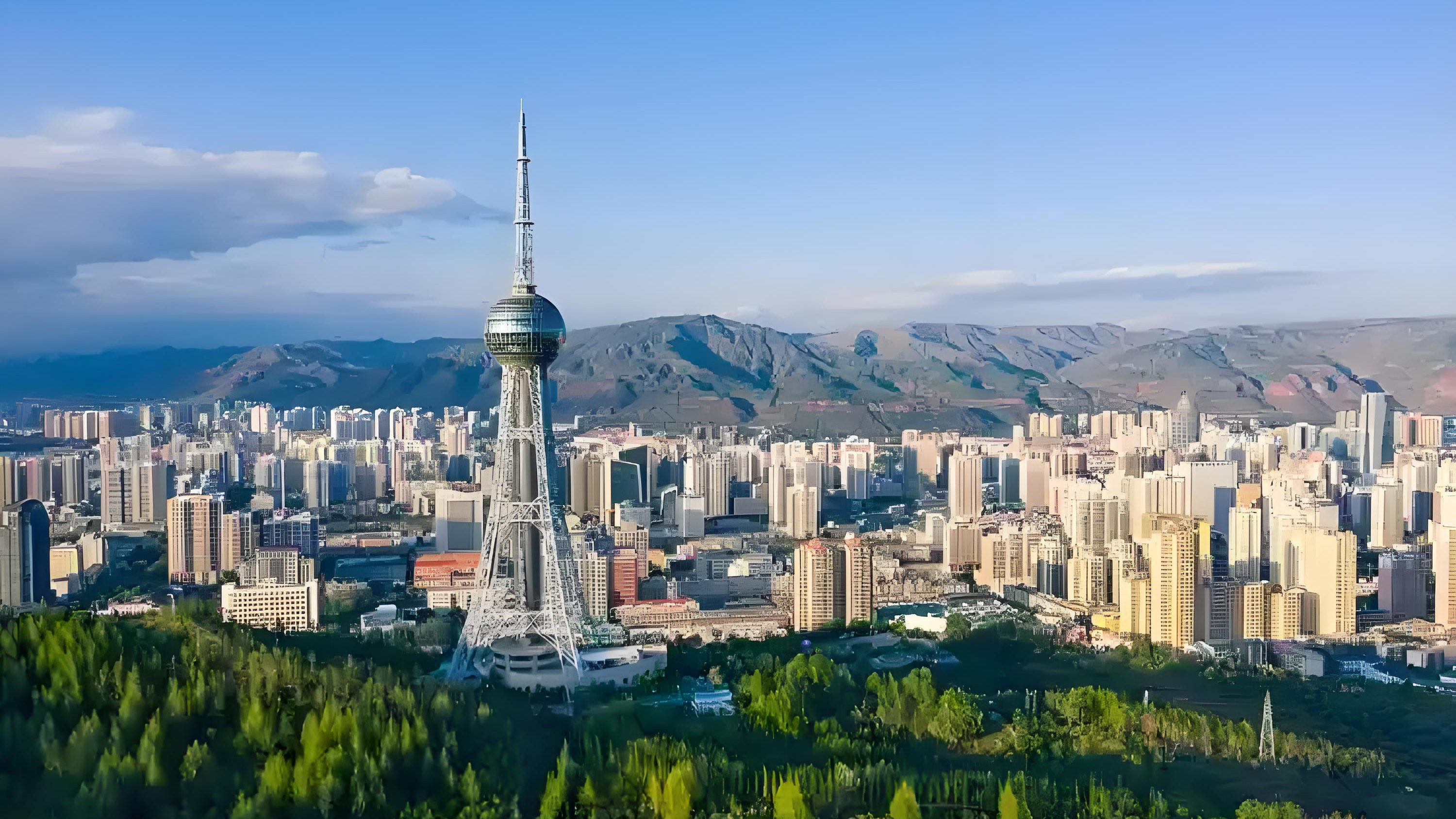 青海省全力推动“民营经济31条”落地见效