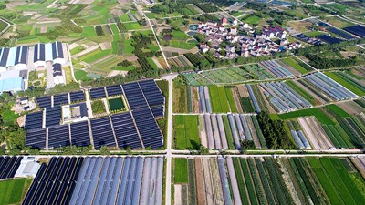 农业农村部召开常务会议 研究高质量开展国家乡村振兴示范县、国家农业现代化示范区创建工作