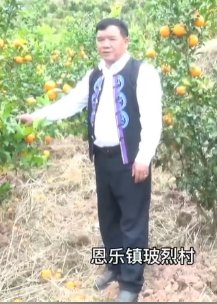 玻烈村