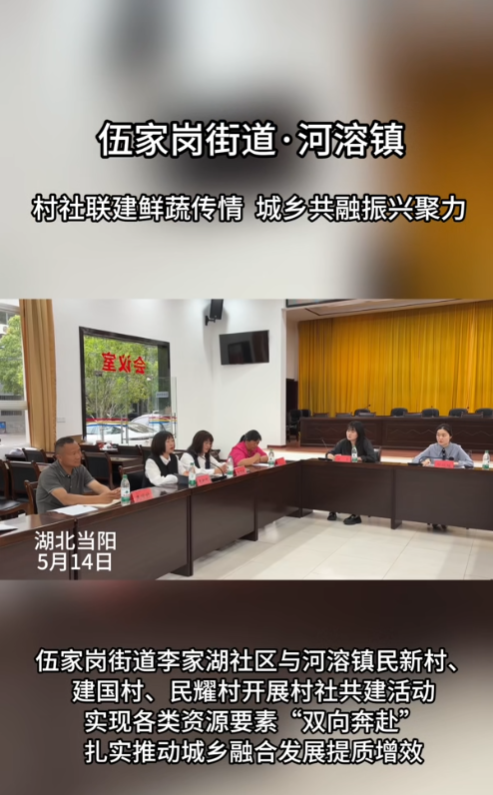 伍家岗区