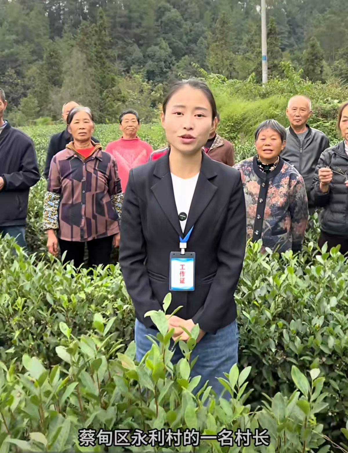 蔡甸区