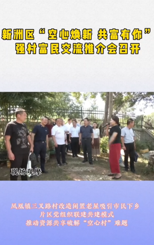 新洲区