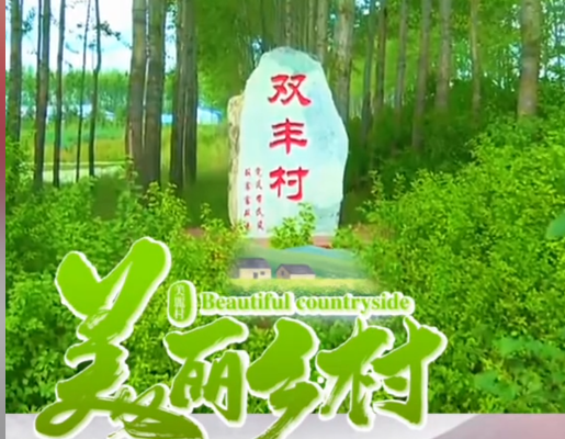 双丰村
