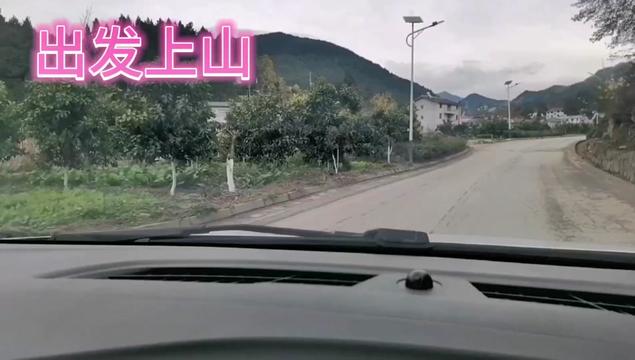 利州区雪峰街道金山村