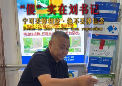 老虎岗镇