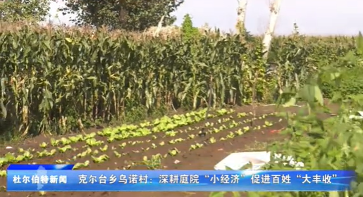 乌诺村