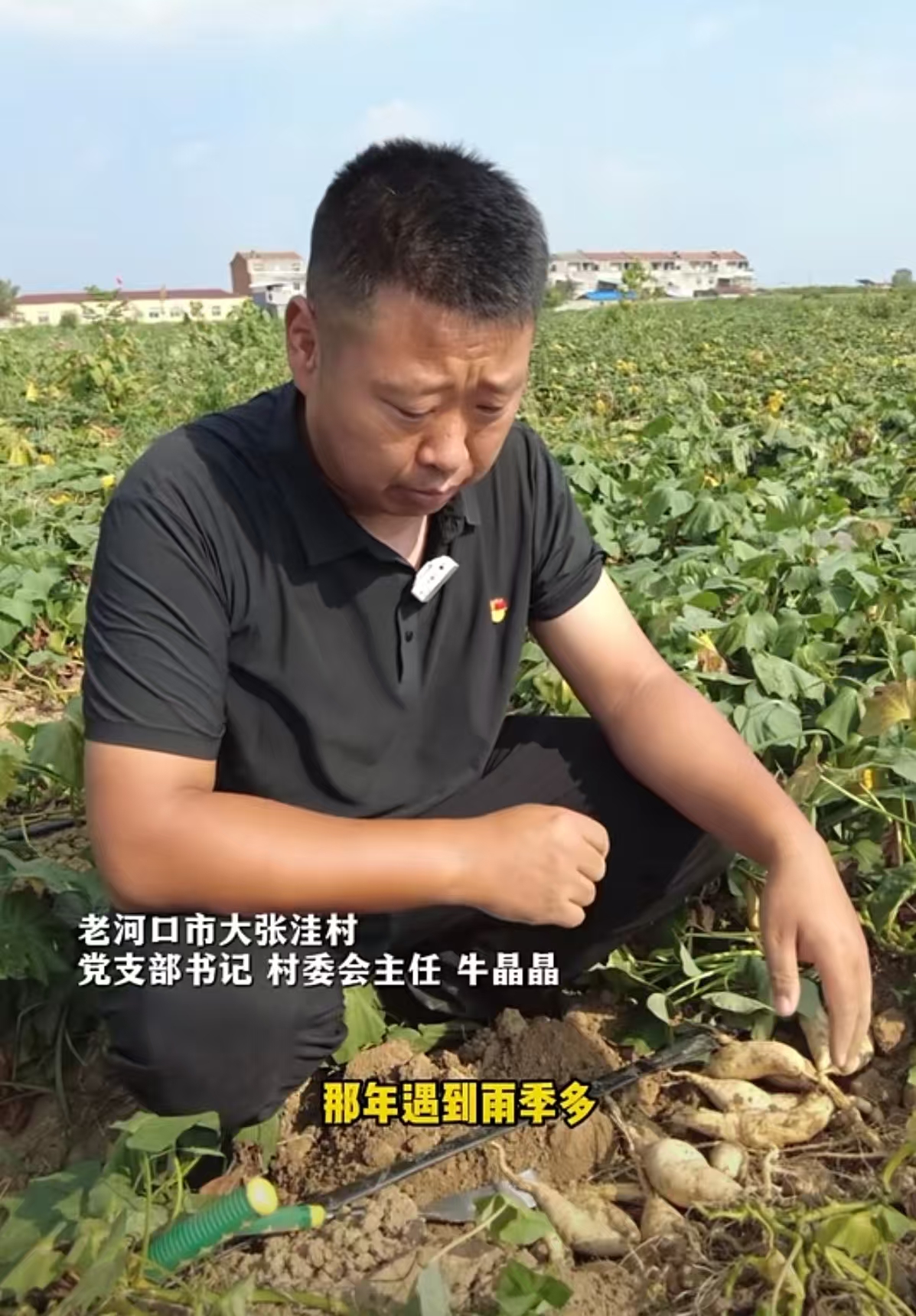 老河口市