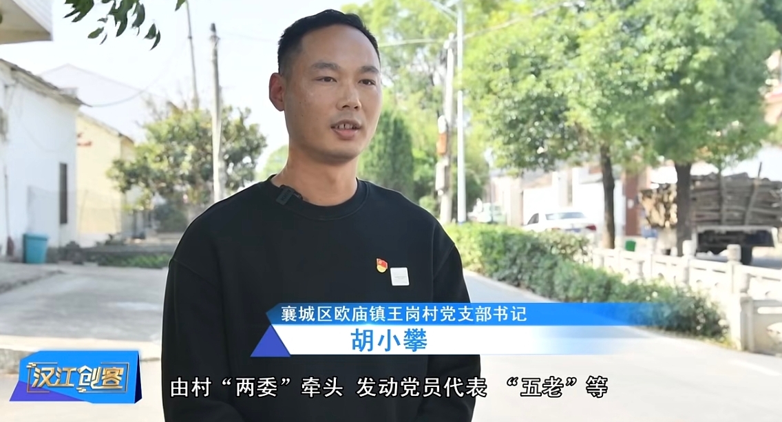 襄城区
