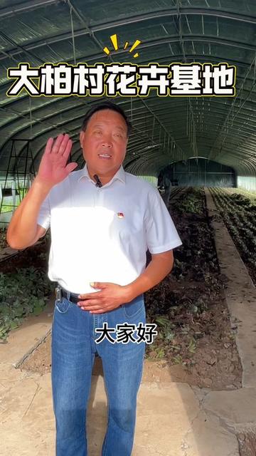 泗县山头镇大柏村