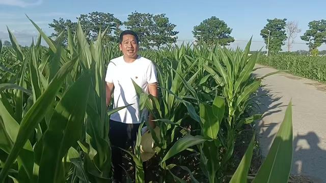 利辛县汝集镇李营村