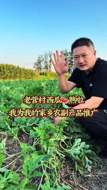 蒙城县立仓镇老营村
