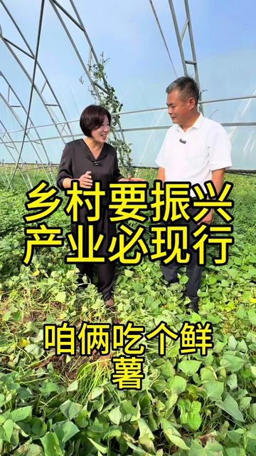 界首市泉阳镇柳庄村