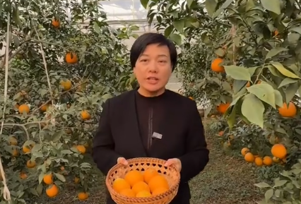 阜东村