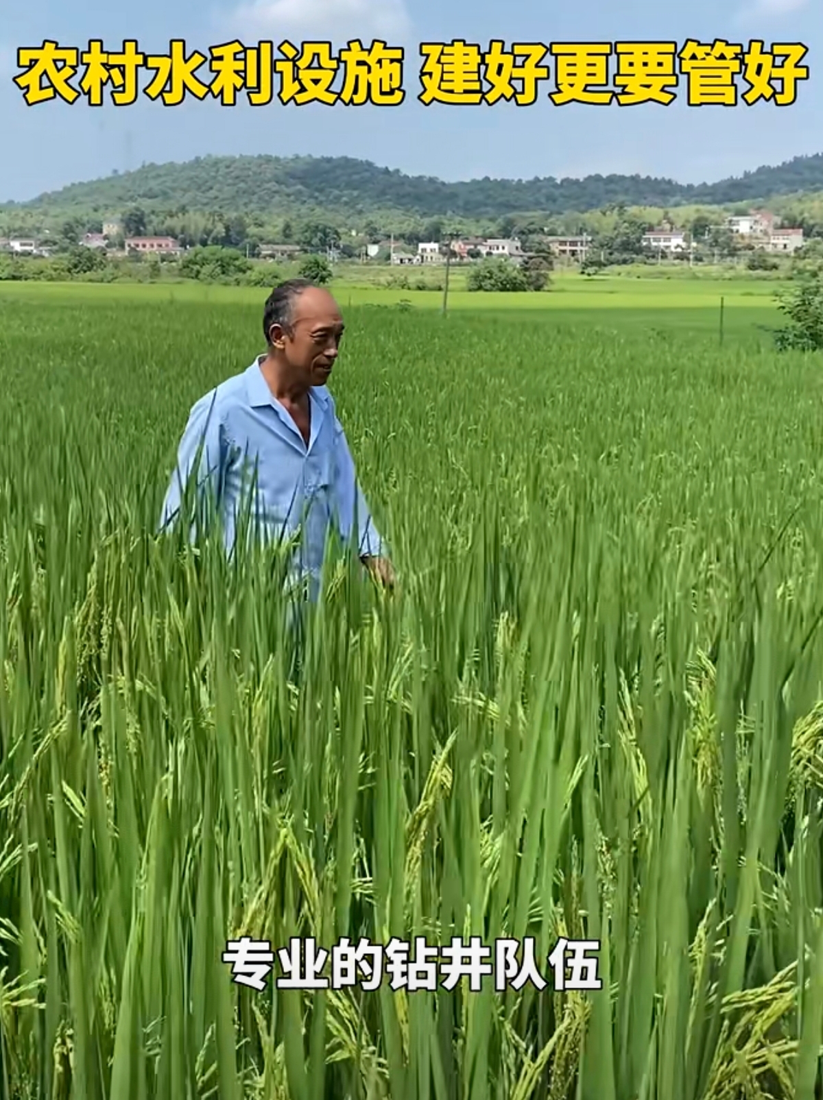 天元区