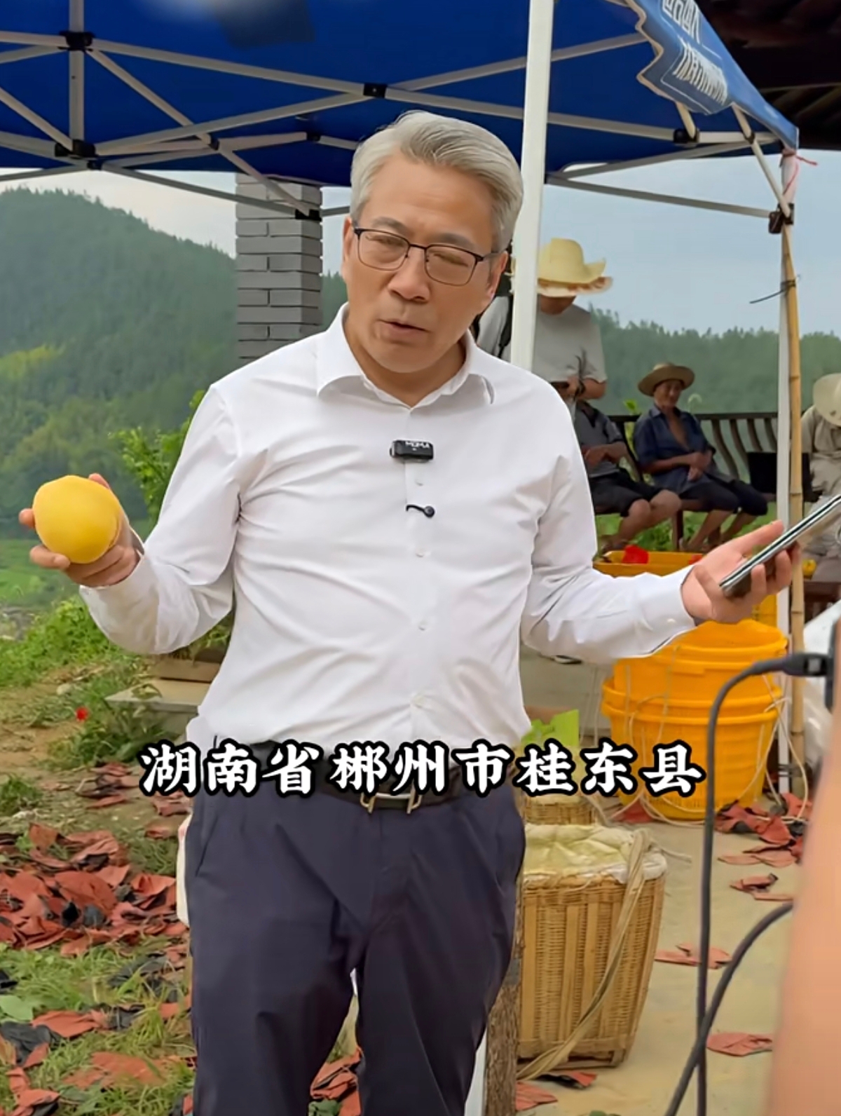 桂东县